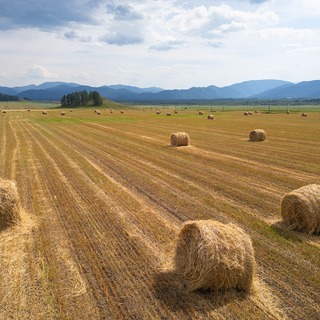 Фото дня 1